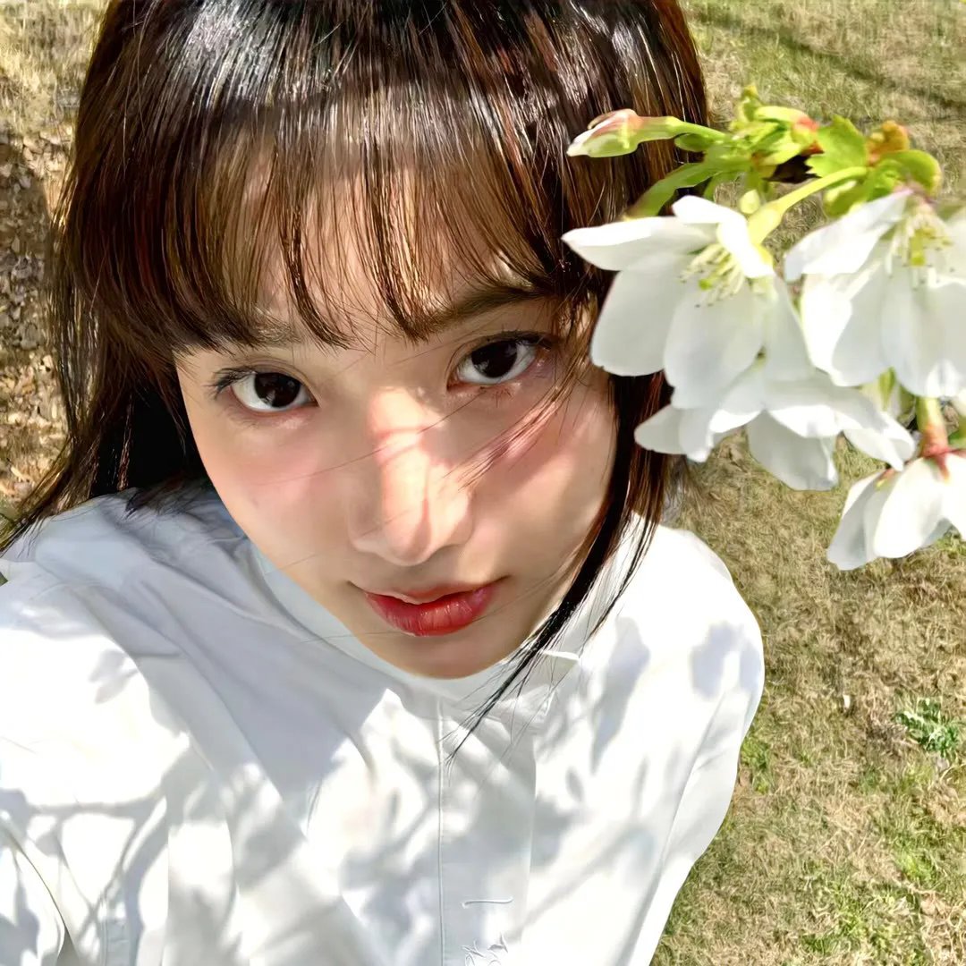 如果我的田野会说话