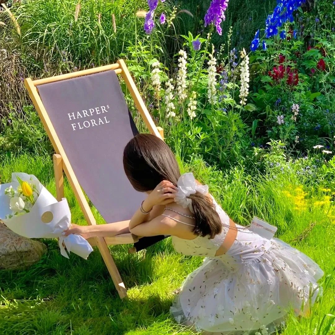 贪婪2019